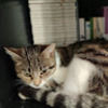 tasnim_a87